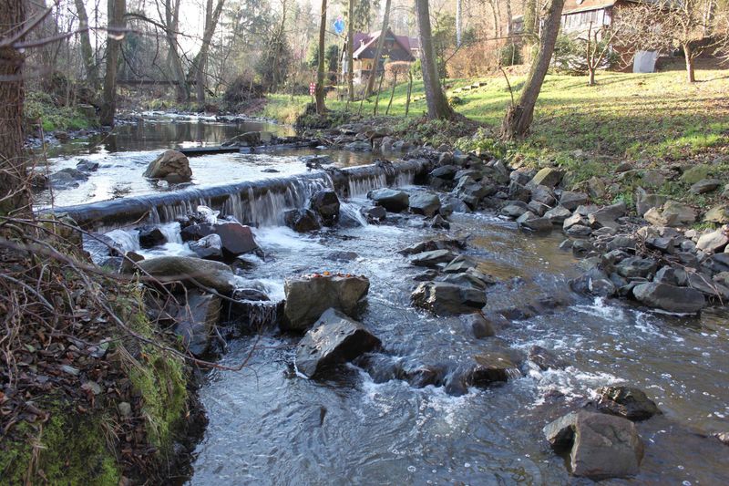 Revitalizace a rekonstrukce rybníka Farář.