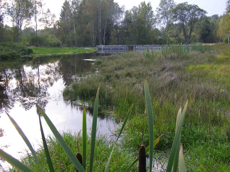 Obnova rybníka v PR Malá Strana.