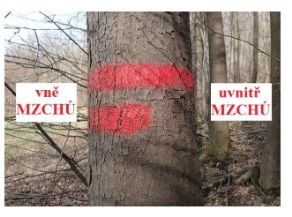 Pruhové značení hranic na sloupcích či hraničních stromech