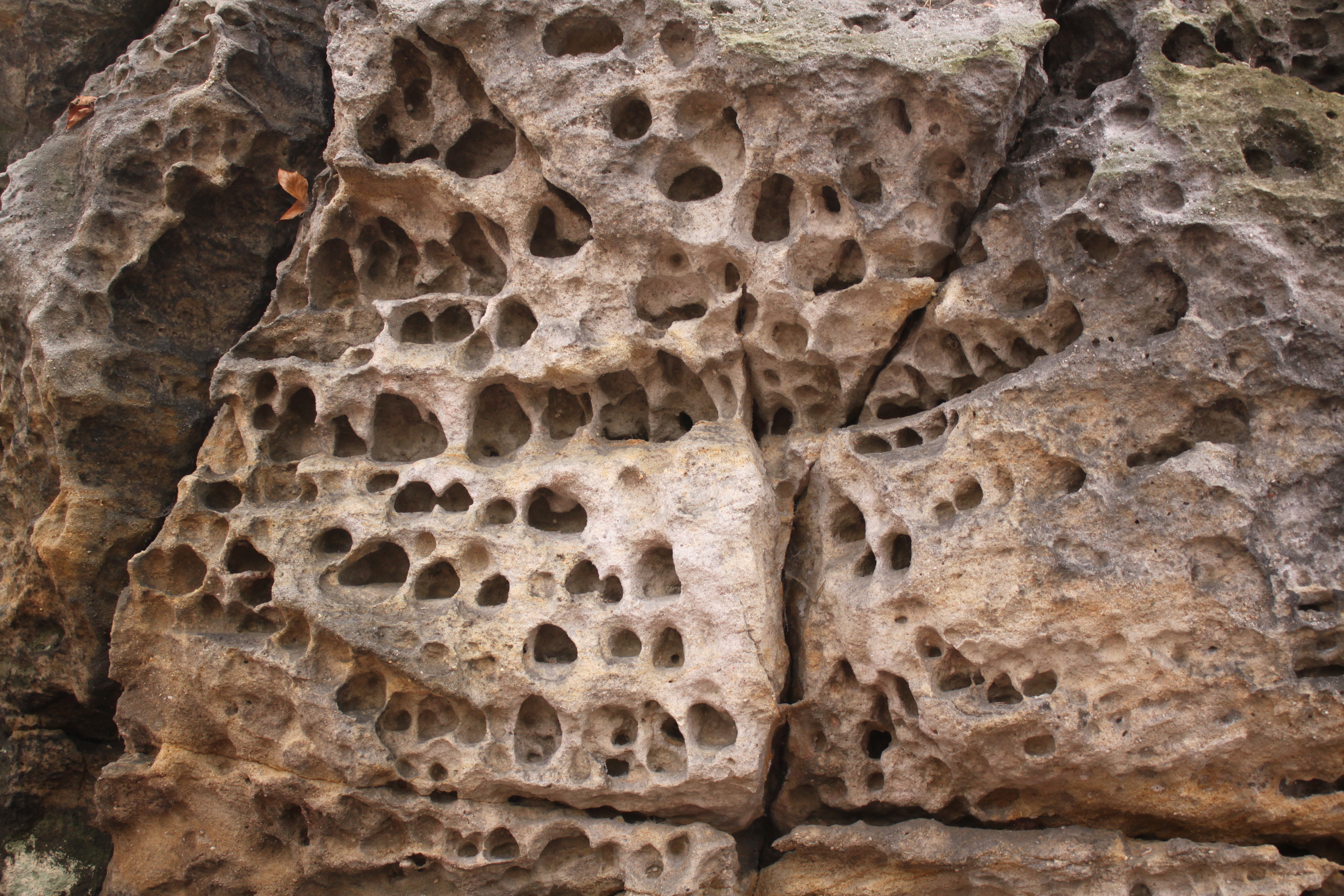 Voštiny - drobné útvary na povrchu pískovcových skal.